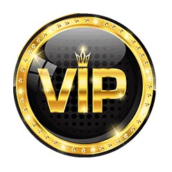 VIP Escorts Ranchi